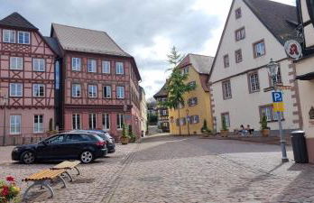 Ferienwohnung am Kirchberg Europa-Park Spassbad-Rulantica-Schwarzwald ,Frankreich, - Foto 37