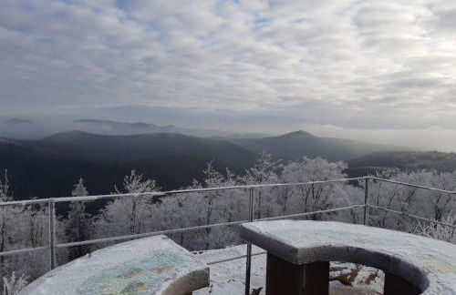 La petite halte - Foto 34