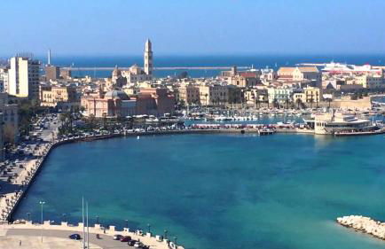 New Fox house - Foto 17