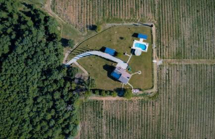 Boschi Salviati - Foto 5