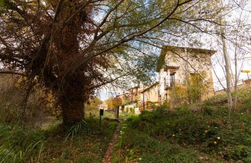 Apartamentos Virgen de Tironcillo - Foto 30