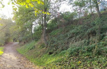 Grand Mobil Home 6 personnes climatisé avec 3 chambres et 2 salles de bains à Munster en Alsace - Foto 25