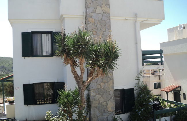 Site Soley - Foto 23