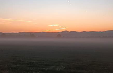 Kleines Paradies am Waldrand - Photo 27