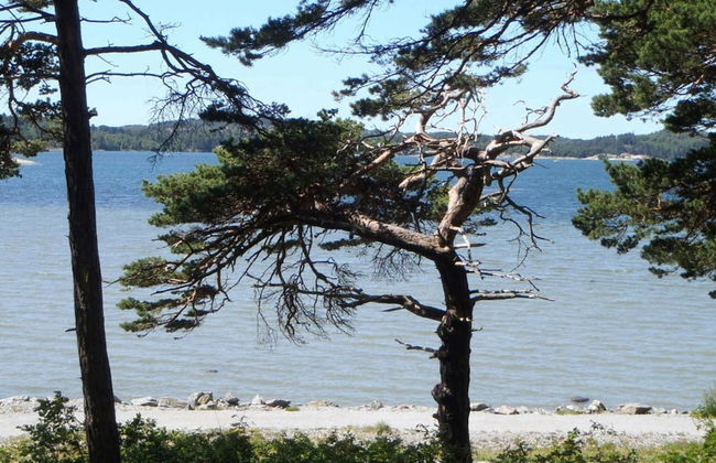 3 Person Holiday Home in Stenungsund - Foto 11