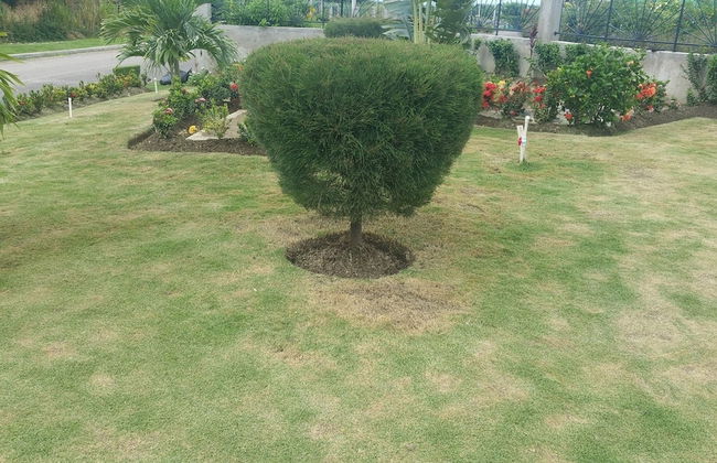 Oceanic View Apartment at Fern Court - Foto 70