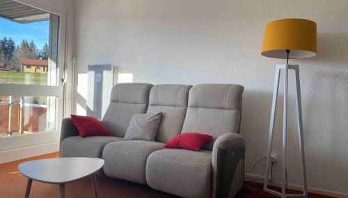 Appmt 4 pers aux pieds des pistes - Foto 4