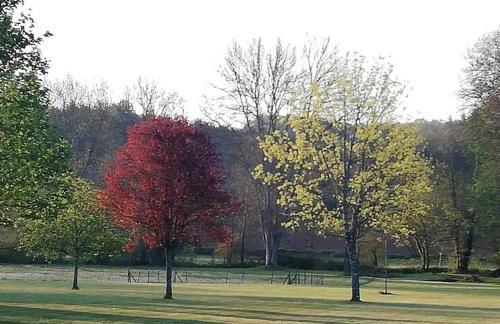 Gîte le Pech - Foto 67
