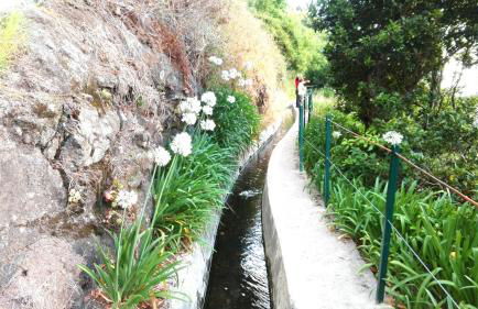 Appartamento Villa - Foto 34