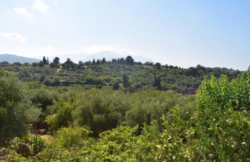 Vassili's House - Foto 31