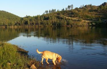 Casal da Serra - Foto 18
