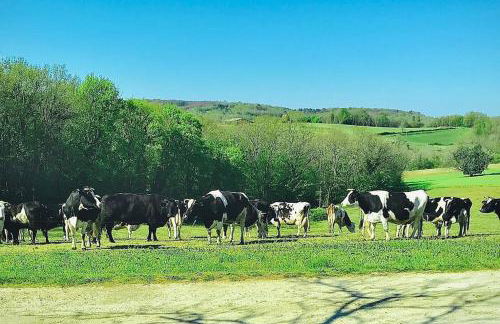 « Le Vieux Hangar » gîte à la ferme - Foto 17
