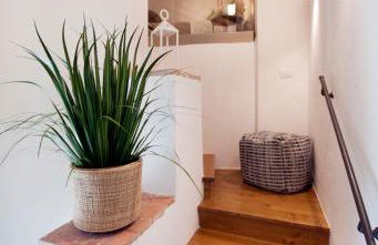 Agriturismo La Via Dell'Oliviera - Foto 77