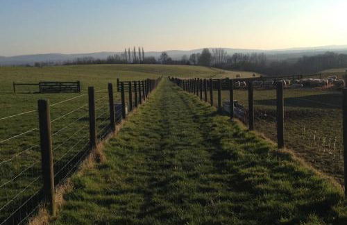 The Piggery - Foto 9