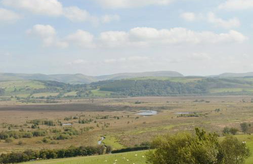 Maes Rheidol - Foto 16