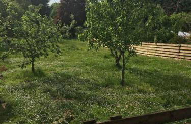 Hillview Lodge - Foto 14