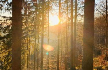 Heimatliebe neu - Foto 10