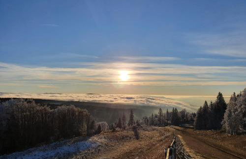 Un havre de quiétude au cœur des Montagnes - Foto 31