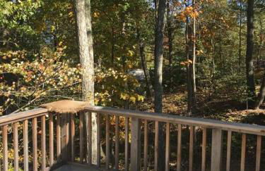 Historic Farmhouse by Nature Preserve - Foto 12