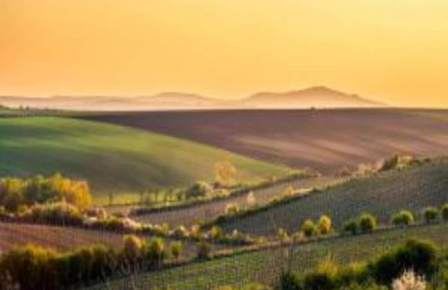 Relaxing Forest Escape With BBQ - Foto 37