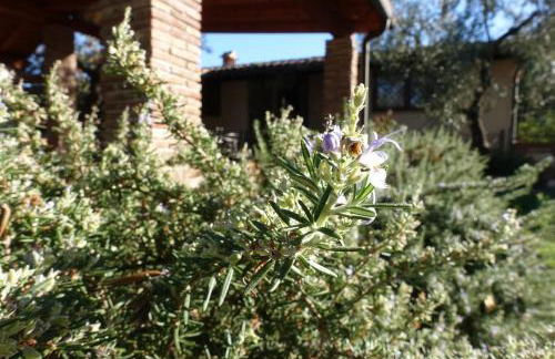 Casa Vacanze Malvarosa - Foto 42