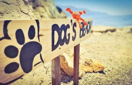 Apartments Mirko - Photo 37