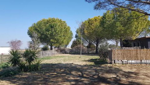 Domaine de L'Outarde Canepetiére Gîte A - Foto 4