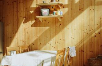 Miło las widzieć - Foto 33