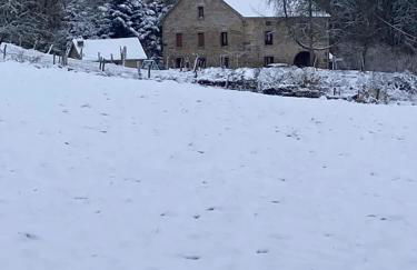 Maison à Fougerolles-Saint-Valbert avec jardin - Foto 18