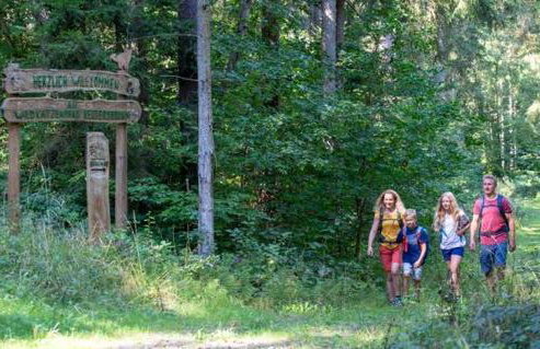 Ferienhaus Kimmelsbacher Hof - Sauna & Naturpool & Seminarraum - Foto 37