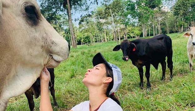 Cheese & Yoghurt Workshop in Puerto Inca - Foto 3