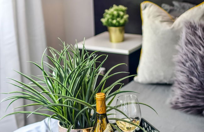 Chic Collection by NOHOTEL on PTree RD - Foto 27