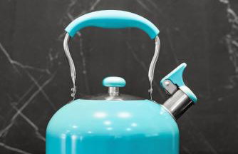 Safari Vines Retreat - Foto 14