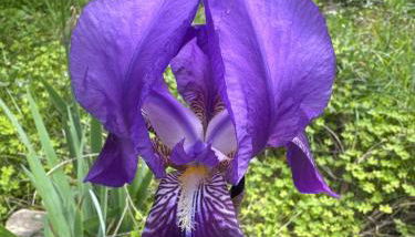 Nostro Rifugio - Photo 5