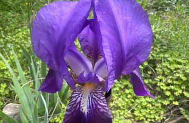 Nostro Rifugio - Foto 5