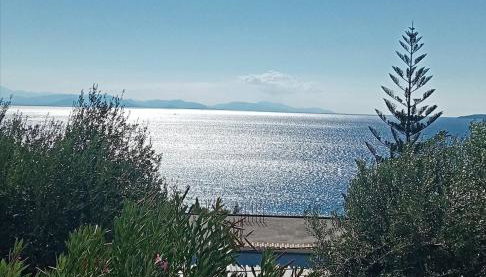 Kiki's Apartments - Foto 3