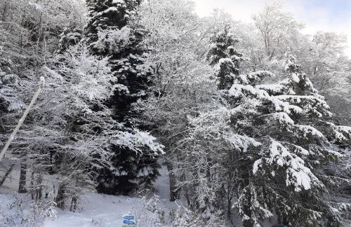 Le duplex de Dana, Gresse en Vercors, Alpes du Nord, classement 3 étoiles par Atout France - Foto 36