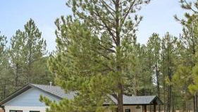 Camp Bluebird - Foto 4, Garden