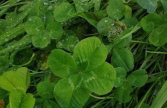 Ferienwohnung Stadt-Land-Fluss - Foto 67