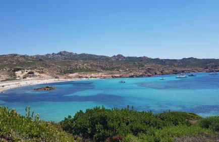 Les Studios de Fiori - Studios et Appartement T2 - Cala Rossa - proche Porto Vecchio - Foto 48