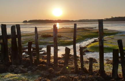 AMARRÉ Gîte Bambou T2 Chambre indépendante - Foto 20