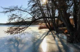 Holzhaus direkt am See - Foto 15