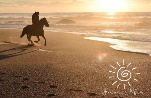 Amais Ofir Heart and Amais Ofir Soul - Twin Vilas - Photo 39