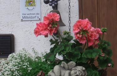 Ferienwohnung Mitteldorf - Foto 23