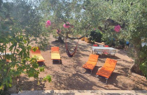 Lo Racó de Peret - Foto 17