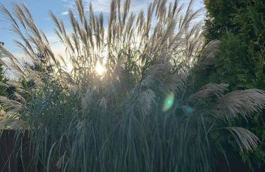 Stodoła Chillout Apartments - Foto 40