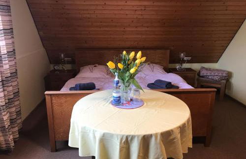 Retro Ferienwohnung mit Schlossblick im Nordschwarzwald - Foto 33