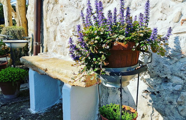 Trullo Madia with Shared Hot Tub in Nature - Foto 46