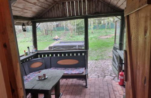 Dom Pod Brzozami Lipinki Bory Tucholskie basen - psy, koty mile widziane! - Photo 9