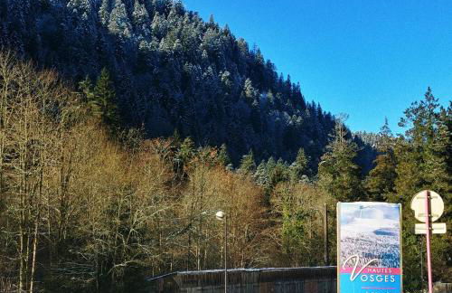 Charmant logis Gérardmer - Photo 63